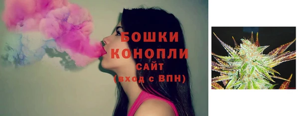 ГАЛЛЮЦИНОГЕННЫЕ ГРИБЫ Балабаново