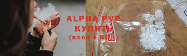 ГАЛЛЮЦИНОГЕННЫЕ ГРИБЫ Балабаново