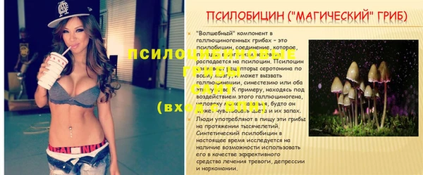 ГАЛЛЮЦИНОГЕННЫЕ ГРИБЫ Балабаново