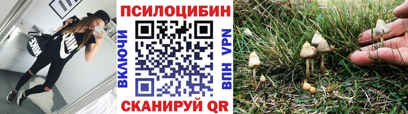 kraken как зайти  Нея  Псилоцибиновые грибы мицелий 